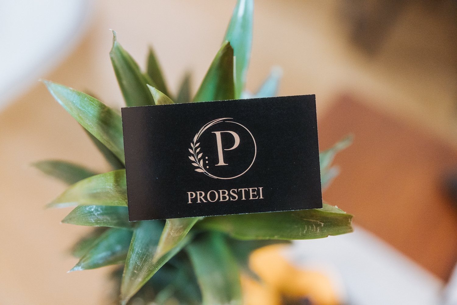 Visitenkarte 'P PROBSTEI' Vorderseite